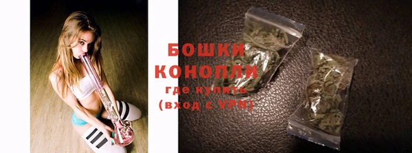 индика Заволжье