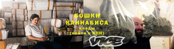 индика Заволжск