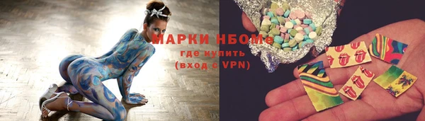 индика Заволжье