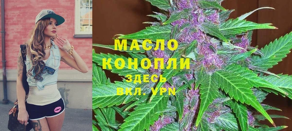 индика Заволжск