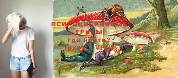 индика Заволжье
