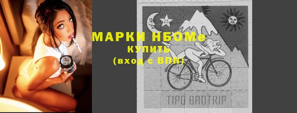 индика Заволжск