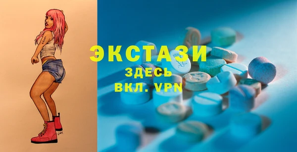 индика Заволжск