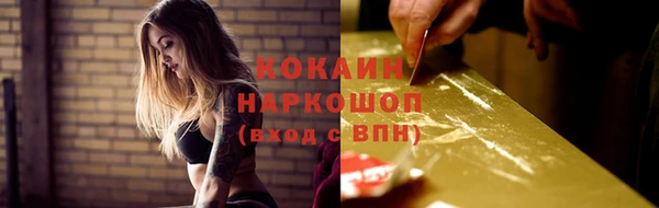 индика Заволжск