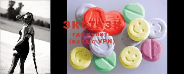 индика Заволжье