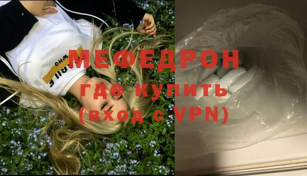 индика Заволжье