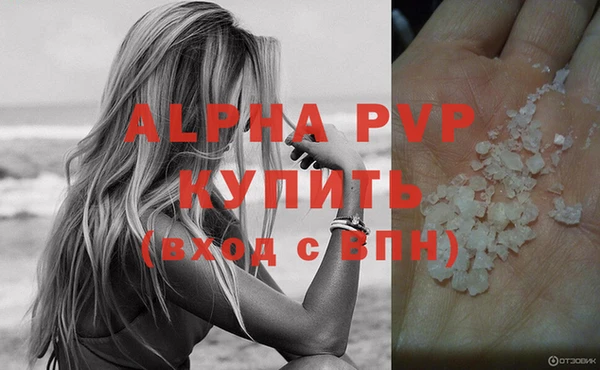 индика Заволжск