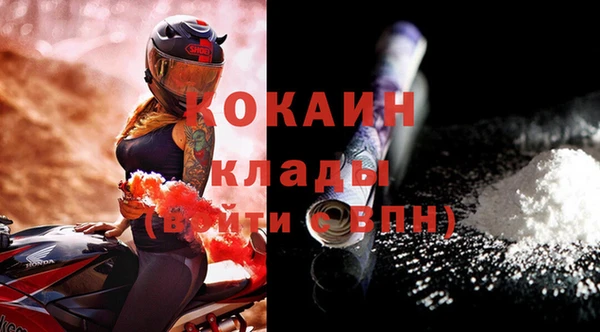 индика Заволжск