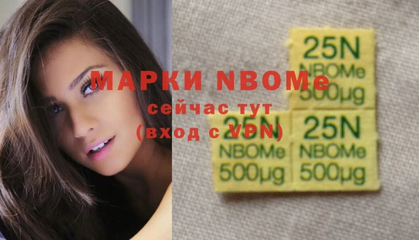 индика Заволжье