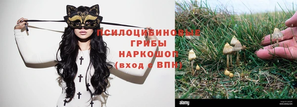 индика Заволжск