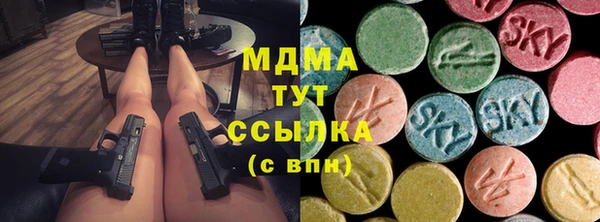 индика Заволжье