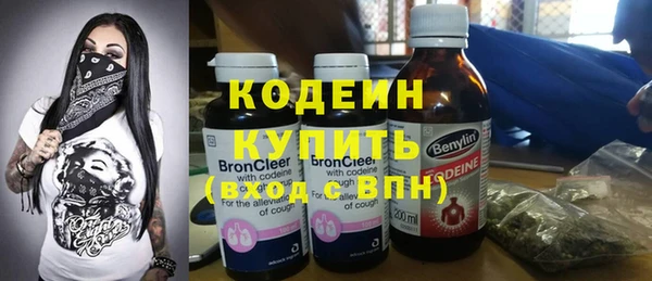 индика Заволжье