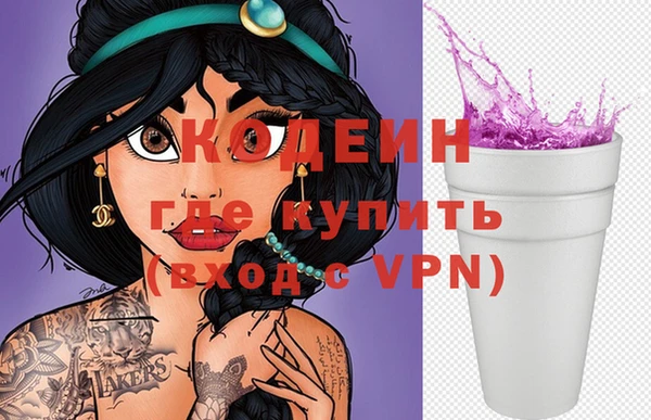 индика Заволжск