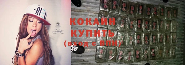 индика Заволжск