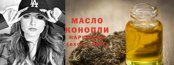 индика Заволжье