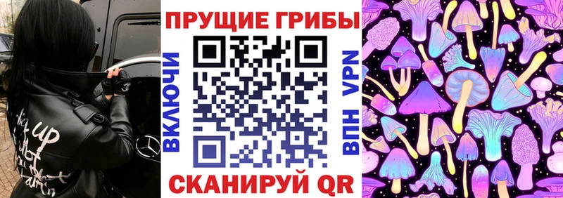 Галлюциногенные грибы Magic Shrooms  Купить закладки  Горно-Алтайск 